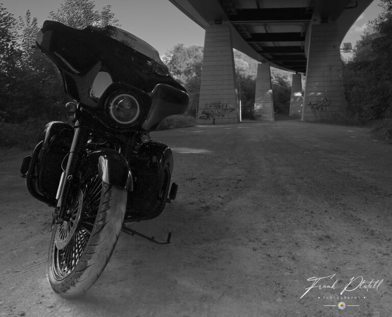 Harley Davidson